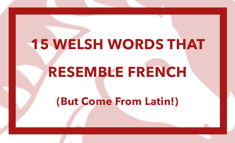 For welsh cute word What is