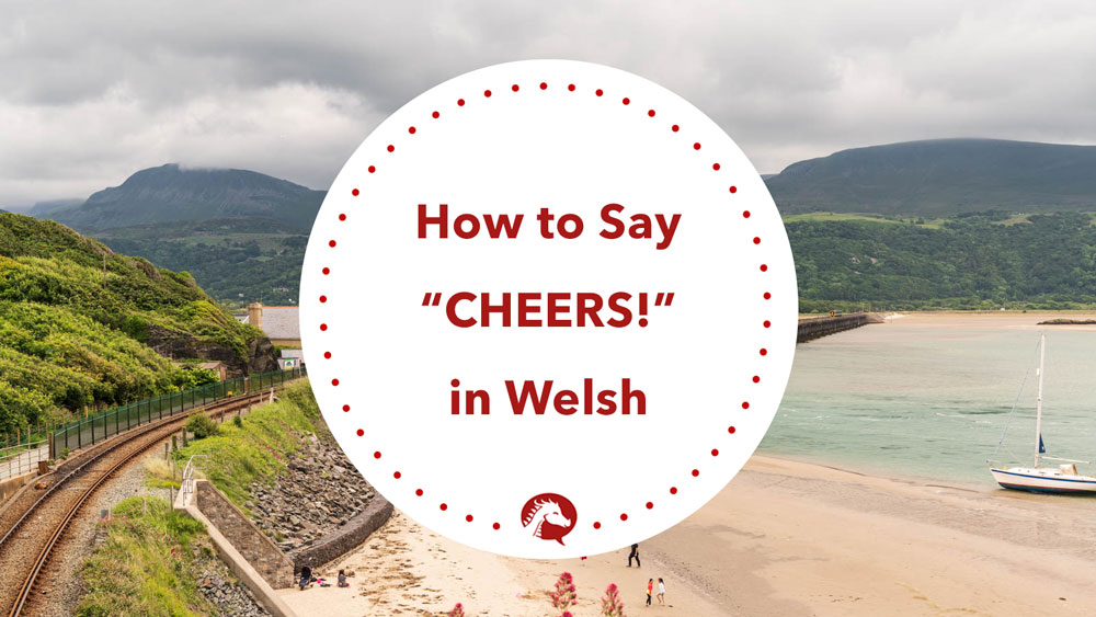 how-to-say-cheers-in-welsh-we-learn-welsh