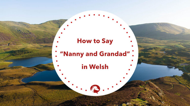 learn-the-welsh-for-nanny-and-grandad-we-learn-welsh