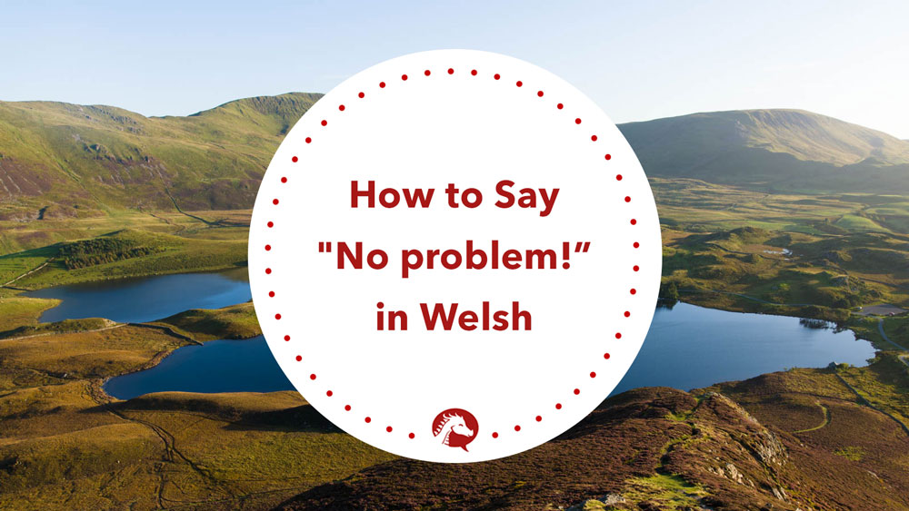 How to Say No Problem! in Welsh - We Learn Welsh