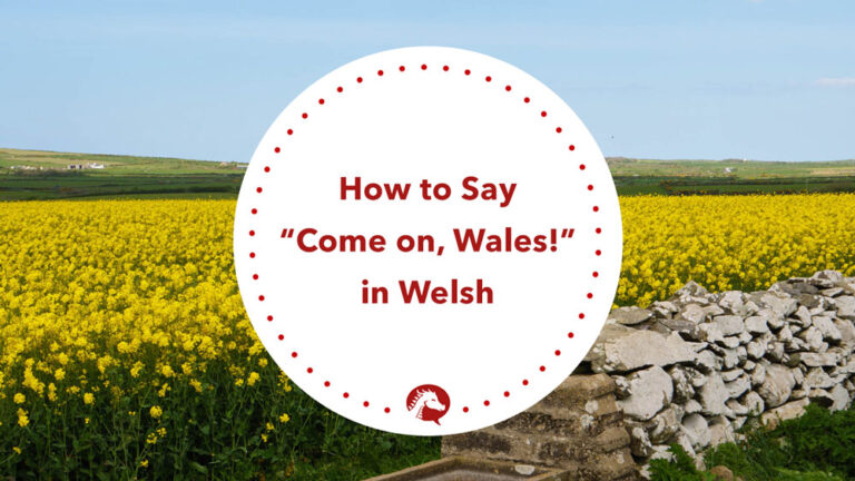 how-to-say-come-on-wales-in-welsh-we-learn-welsh