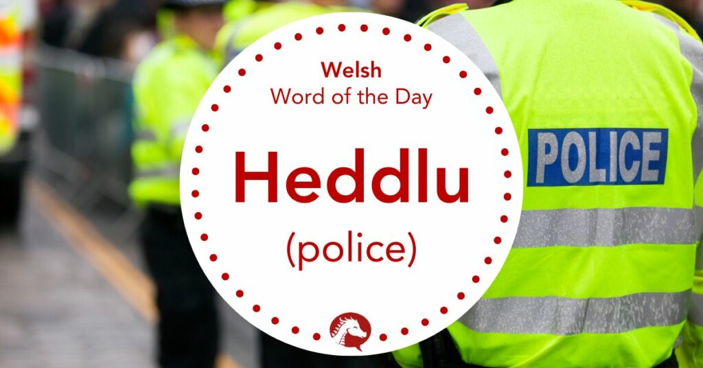 heddlu - police