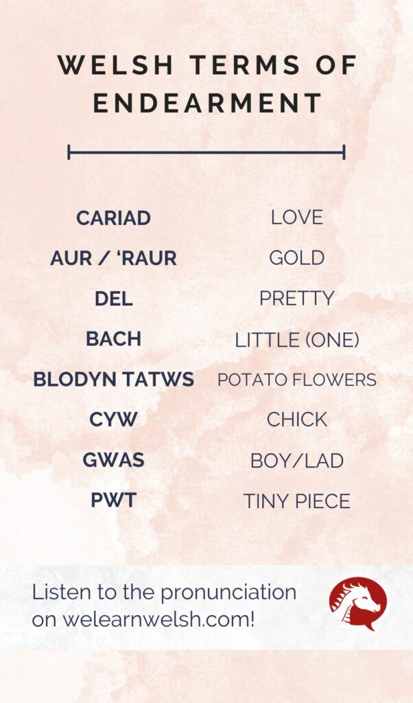 welsh terms of endearment