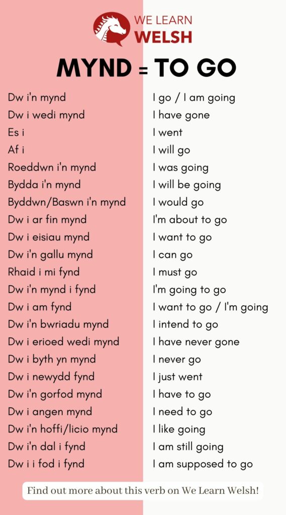 welsh word mynd