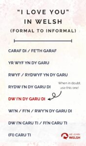 i love you in welsh