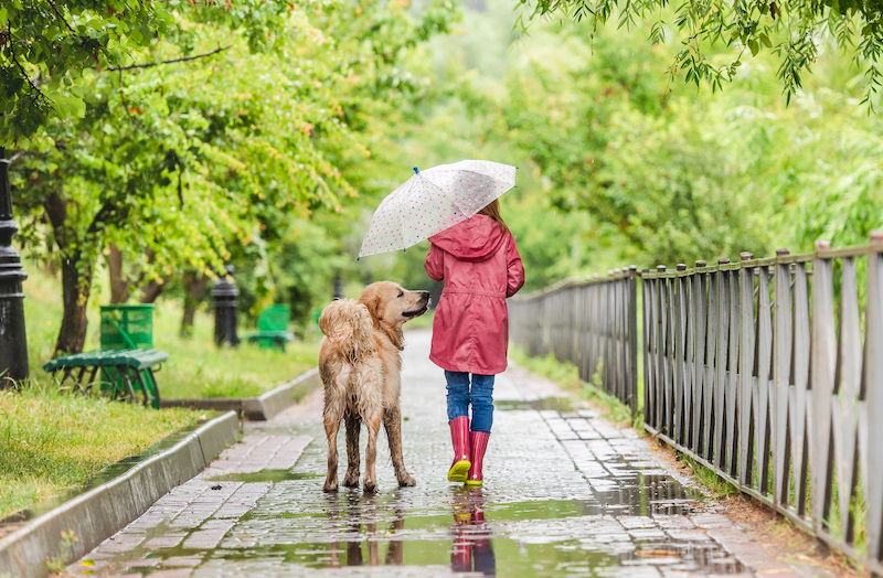 Rear view of little girl walking dog under rain along wet alley