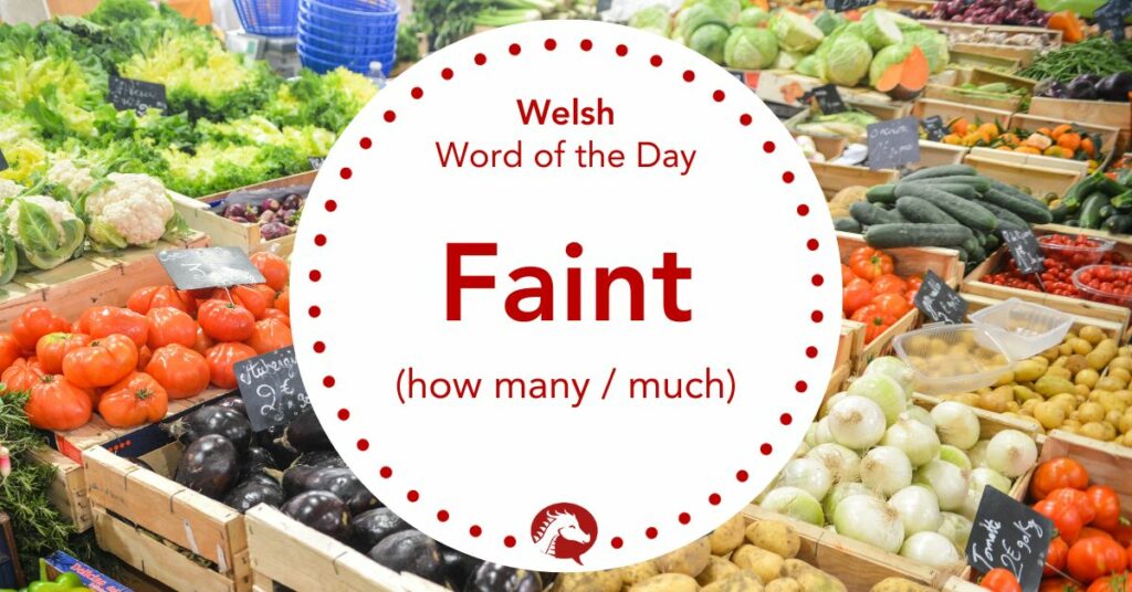 How to Say “How much / many” in Welsh – Faint / Sawl