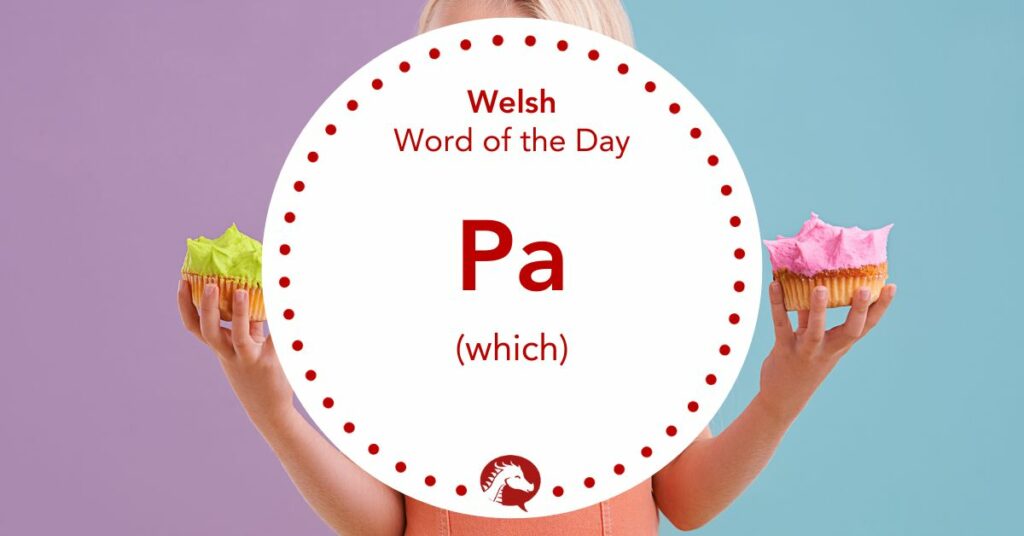 How to Say “Which” in Welsh – Pa