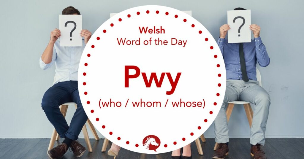 How to Say “Who / Whom / Whose” in Welsh – Pwy