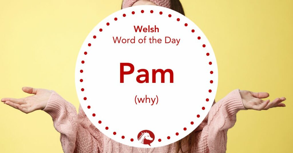 How to Say “Why” in Welsh – Pam