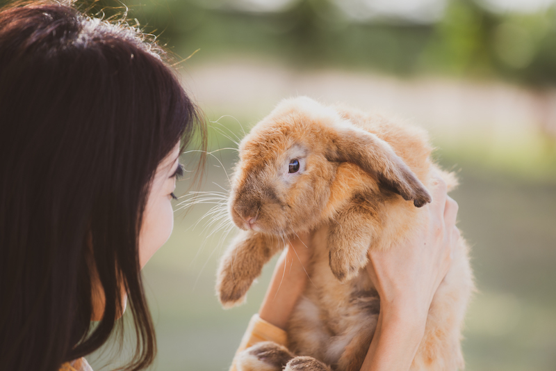 a woman holding an orange rabbit