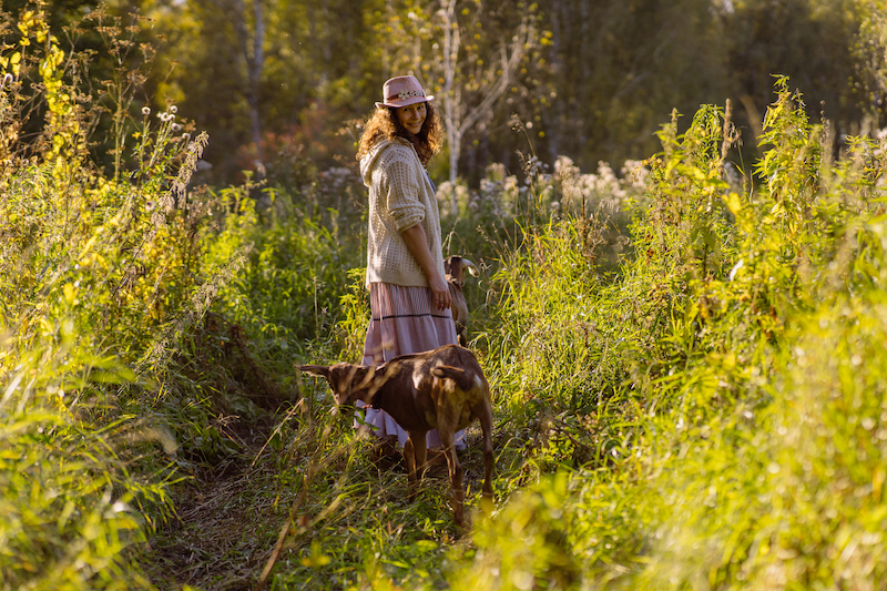 A woman is walking with her Nubian goats on a natural pasture in a peaceful countryside