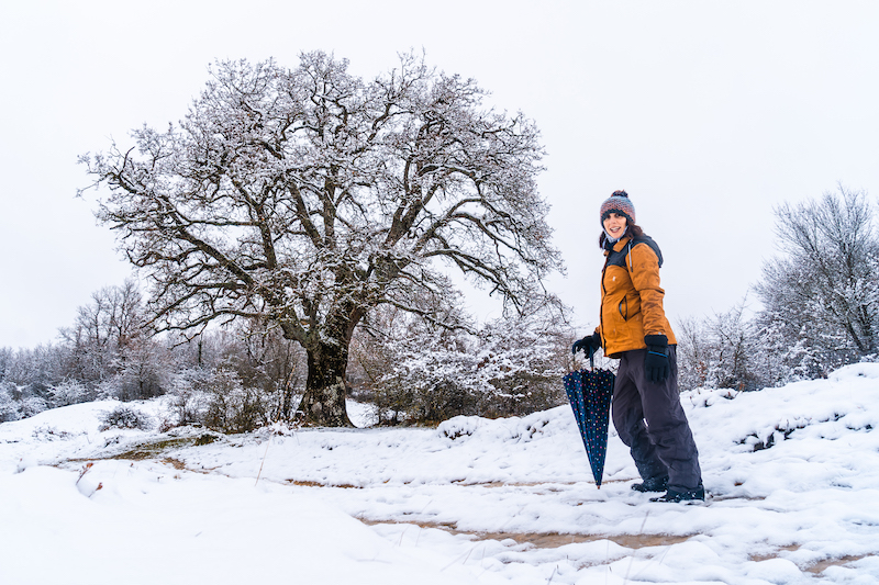 Young girl in a yellow jacket walking through the snow next to a tree.
