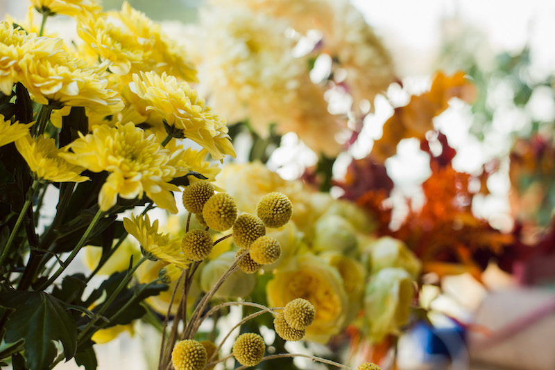 yellow flowers