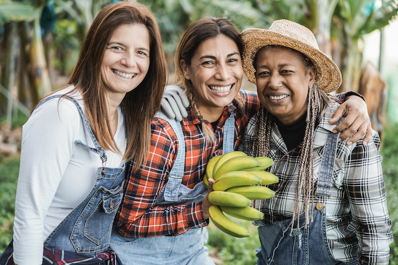 Multiracial senior women working at garden while holding a banana bunch