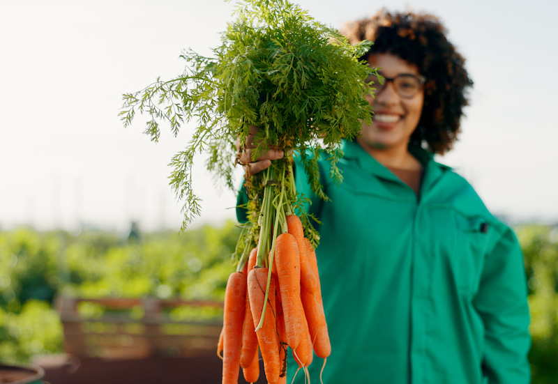 Farmer, woman and carrot in agriculture, greenhouse and farming for sustainability, grocery and gar.
