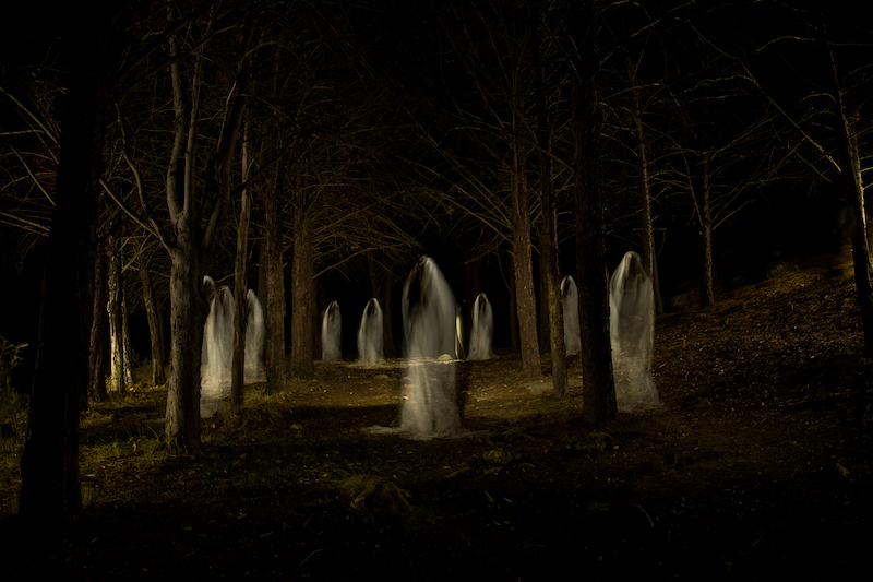 Picture of a group of ghosts in the middle of the forest with total darkness and made with the lightpainting technique