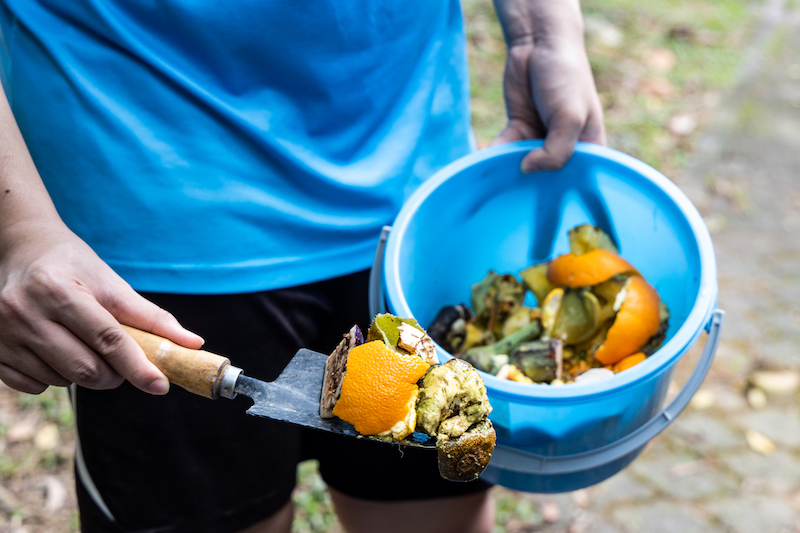 Person with bucket consisting organic kitchen waste greens vegetable fruits peels for recycle into compost